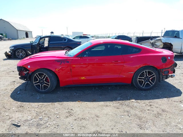 Продаж на аукціоні авто 2019 Ford Mustang Ecoboost, vin: 1FA6P8TH5K5102833, номер лоту: 12601291