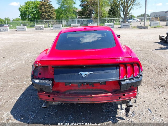 Продаж на аукціоні авто 2019 Ford Mustang Ecoboost, vin: 1FA6P8TH5K5102833, номер лоту: 12601291