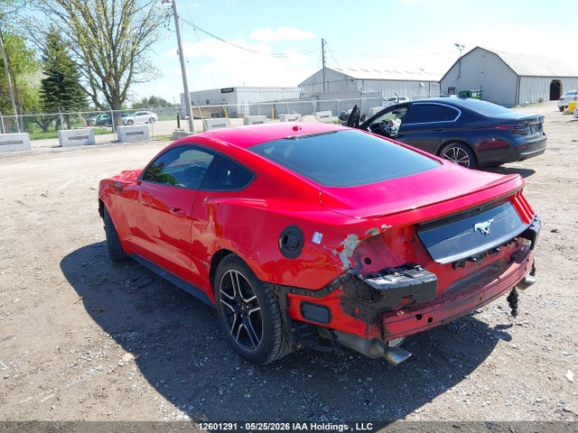 Продаж на аукціоні авто 2019 Ford Mustang Ecoboost, vin: 1FA6P8TH5K5102833, номер лоту: 12601291