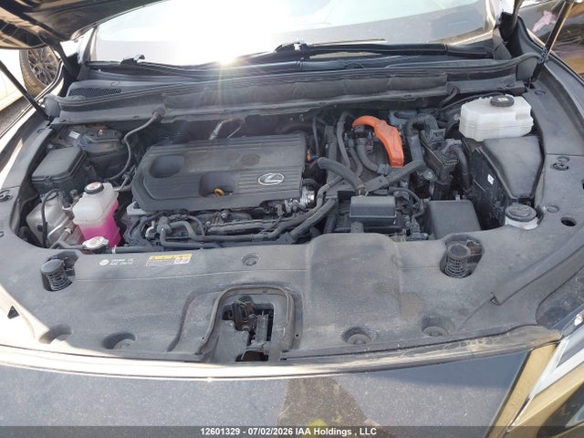 Lexus RX 350 2024 2T2BBMCA1RC023767 Image 9