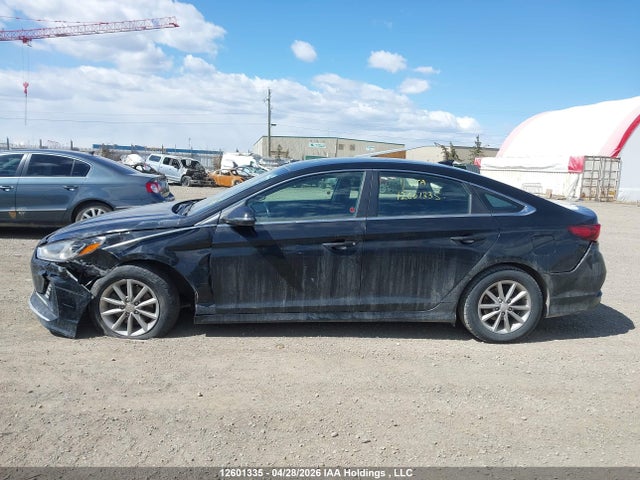 2019 Hyundai Sonata მანქანა იყიდება აუქციონზე, vin: 5NPE24AF5KH731040, აუქციონის ნომერი: 12601335