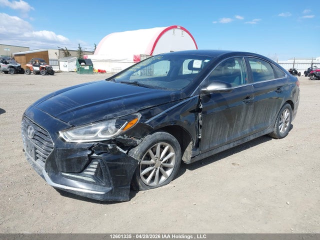 2019 Hyundai Sonata მანქანა იყიდება აუქციონზე, vin: 5NPE24AF5KH731040, აუქციონის ნომერი: 12601335