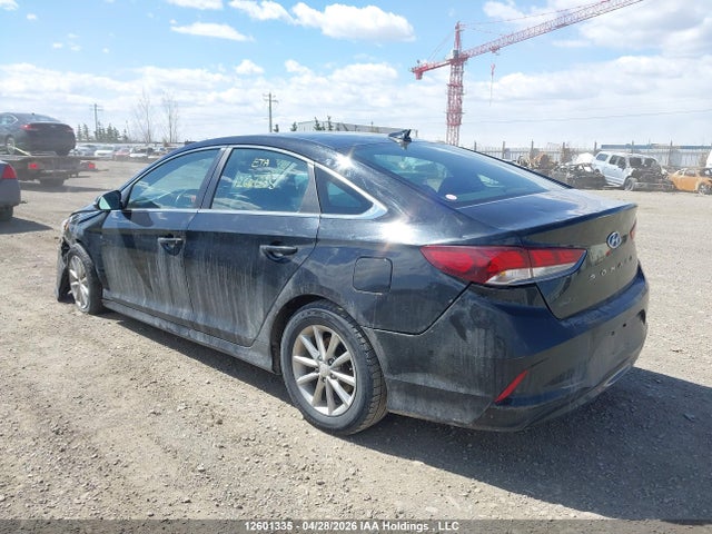 2019 Hyundai Sonata მანქანა იყიდება აუქციონზე, vin: 5NPE24AF5KH731040, აუქციონის ნომერი: 12601335