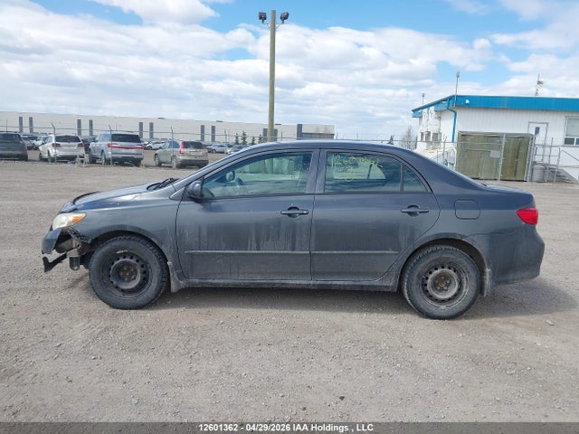 12601362 :رقم المزاد ، 2T1BU4EEXAC245775 vin ، 2010 Toyota Corolla S/le/xle مزاد بيع