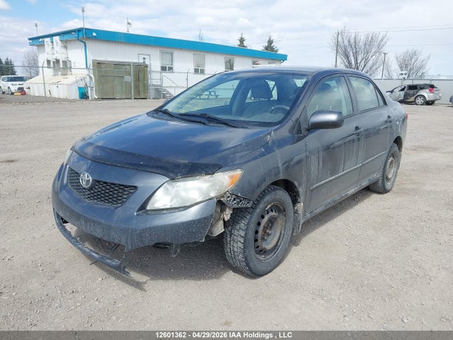 12601362 :رقم المزاد ، 2T1BU4EEXAC245775 vin ، 2010 Toyota Corolla S/le/xle مزاد بيع