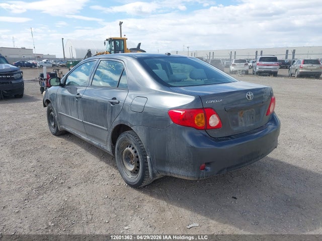 12601362 :رقم المزاد ، 2T1BU4EEXAC245775 vin ، 2010 Toyota Corolla S/le/xle مزاد بيع