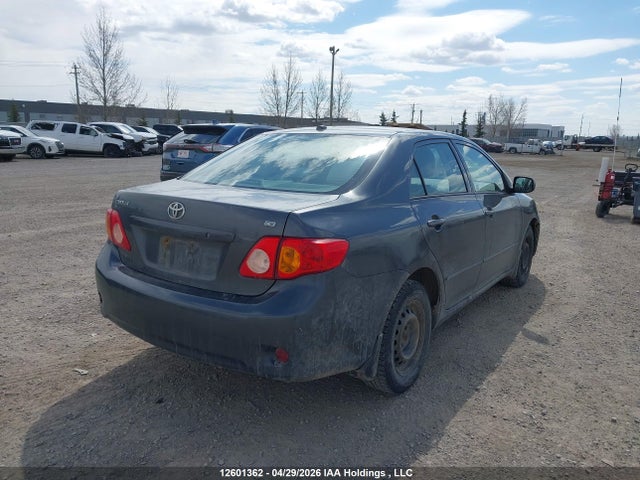 12601362 :رقم المزاد ، 2T1BU4EEXAC245775 vin ، 2010 Toyota Corolla S/le/xle مزاد بيع