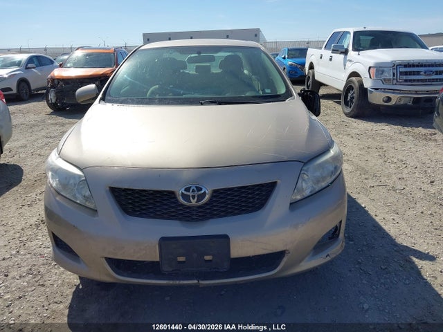 2009 Toyota Corolla Ce მანქანა იყიდება აუქციონზე, vin: 2T1BU40E59C083704, აუქციონის ნომერი: 12601440