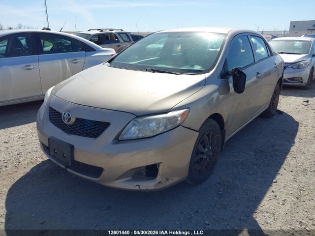 2009 Toyota Corolla Ce მანქანა იყიდება აუქციონზე, vin: 2T1BU40E59C083704, აუქციონის ნომერი: 12601440