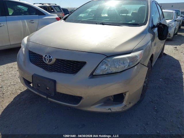 2009 Toyota Corolla Ce მანქანა იყიდება აუქციონზე, vin: 2T1BU40E59C083704, აუქციონის ნომერი: 12601440