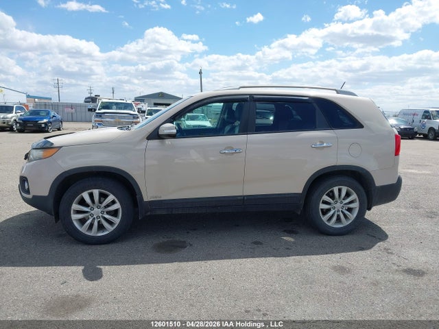 Продаж на аукціоні авто 2011 Kia Sorento Ex, vin: 5XYKUDA20BG068588, номер лоту: 12601510