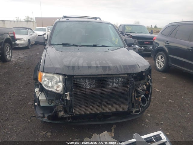 12601549 :رقم المزاد ، 1FMCU0DG3AKB86787 vin ، 2010 Ford Escape مزاد بيع