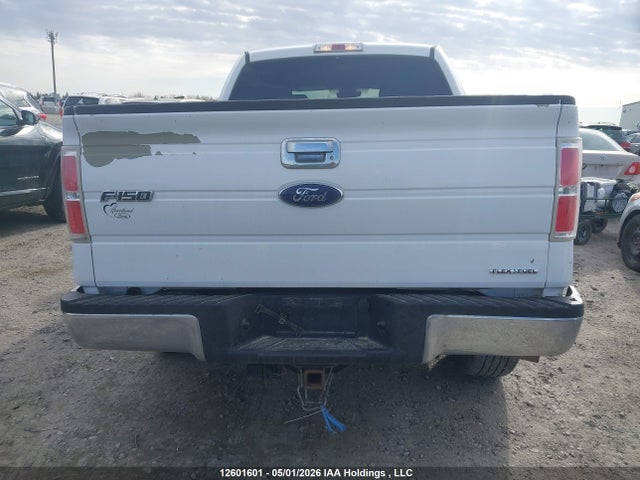 Продажа на аукционе авто 2014 Ford F-150 Xlt, vin: 1FTEW1CM0EKG12414, номер лота: 12601601