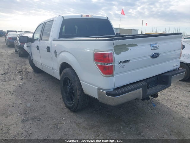 Продажа на аукционе авто 2014 Ford F-150 Xlt, vin: 1FTEW1CM0EKG12414, номер лота: 12601601