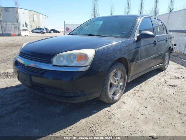 Aukcja sprzedaży 2005 Chevrolet Malibu Ls, vin: 1G1ZT54875F112836, numer aukcji: 12601604