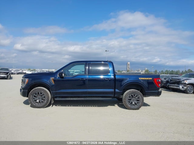 Продаж на аукціоні авто 2023 Ford F-150 Tremor, vin: 1FTEW1E8XPFA28758, номер лоту: 12601672