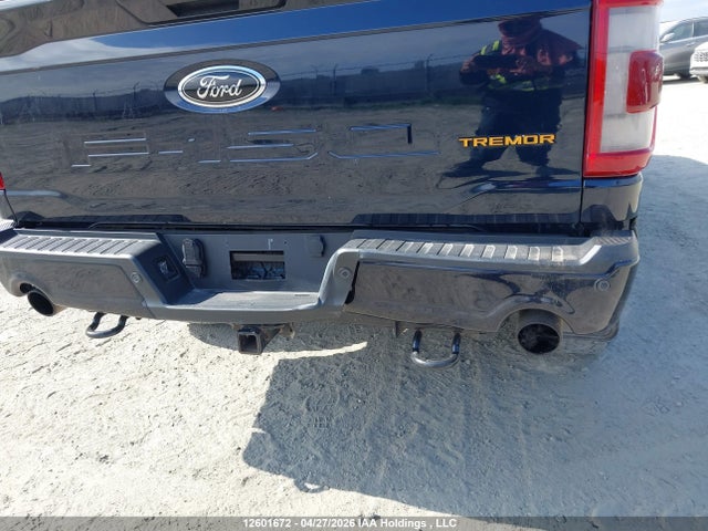 Продаж на аукціоні авто 2023 Ford F-150 Tremor, vin: 1FTEW1E8XPFA28758, номер лоту: 12601672