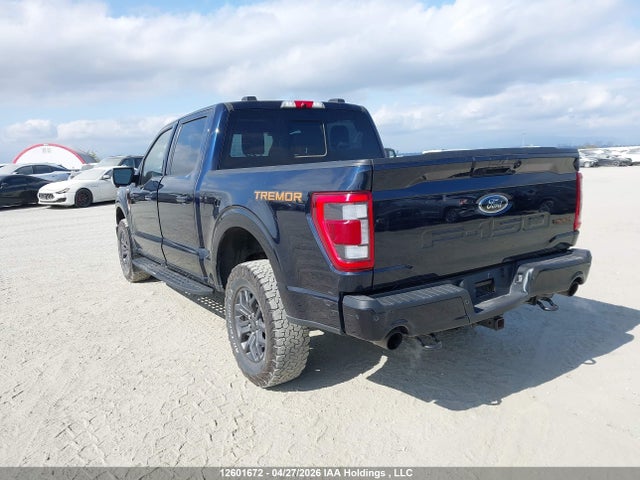 Продаж на аукціоні авто 2023 Ford F-150 Tremor, vin: 1FTEW1E8XPFA28758, номер лоту: 12601672