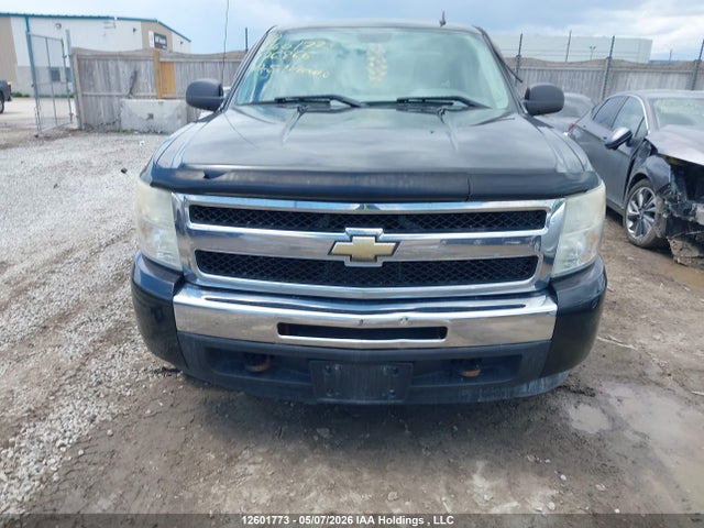 Продаж на аукціоні авто 2010 Chevrolet Silverado 1500 Ls, vin: 3GCRKREA1AG176866, номер лоту: 12601773