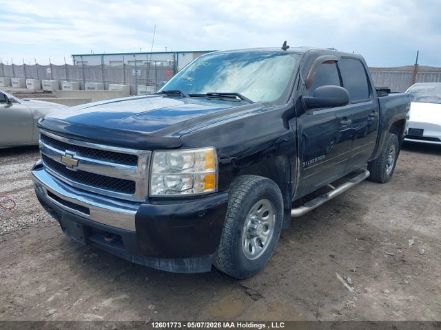 Продаж на аукціоні авто 2010 Chevrolet Silverado 1500 Ls, vin: 3GCRKREA1AG176866, номер лоту: 12601773