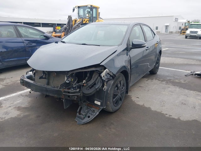 2T1BURHE6EC169647 Toyota Corolla