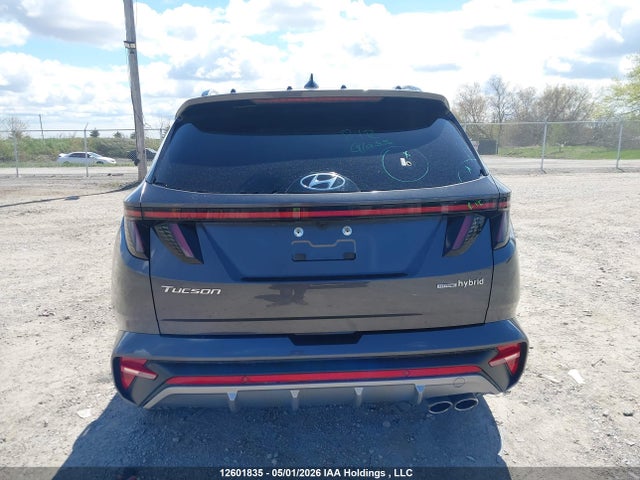 Продаж на аукціоні авто 2024 Hyundai Tucson N-line Awd, vin: KM8JCCD14RU144247, номер лоту: 12601835