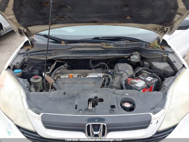2008 Honda Cr-v მანქანა იყიდება აუქციონზე, vin: 5J6RE383X8L802391, აუქციონის ნომერი: 12601858