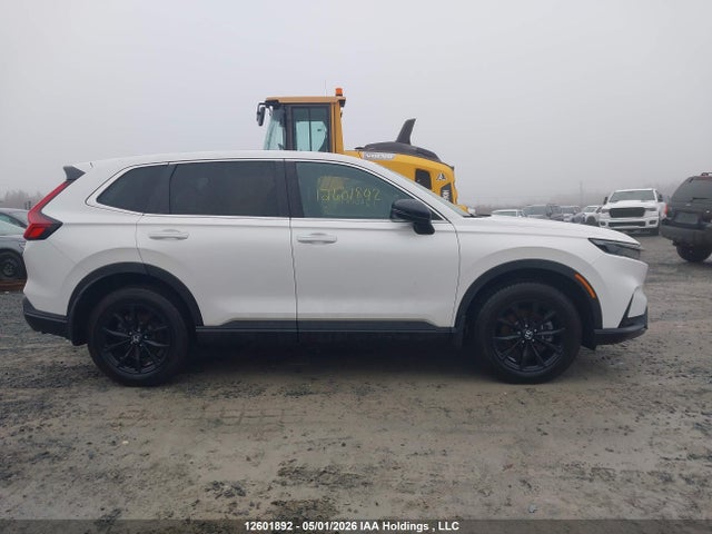 Продаж на аукціоні авто 2024 Honda Cr-v Hybrid, vin: 2HKRS6H78RH204342, номер лоту: 12601892