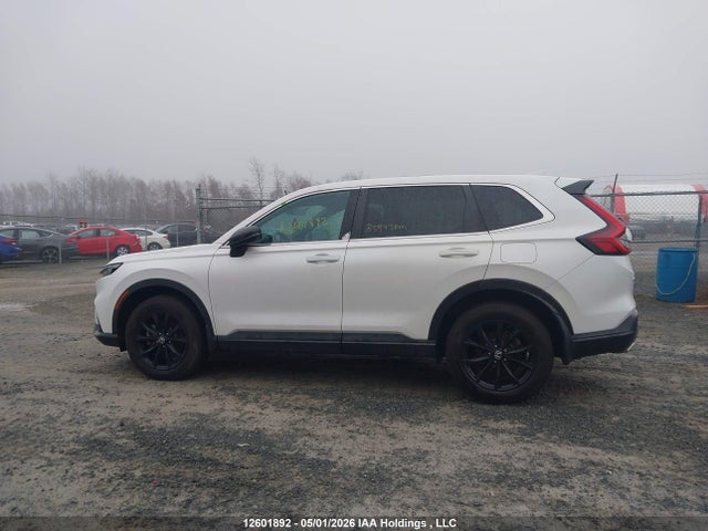 Продаж на аукціоні авто 2024 Honda Cr-v Hybrid, vin: 2HKRS6H78RH204342, номер лоту: 12601892