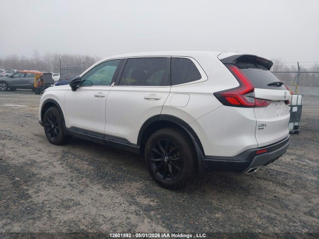 Продаж на аукціоні авто 2024 Honda Cr-v Hybrid, vin: 2HKRS6H78RH204342, номер лоту: 12601892