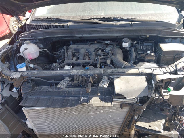 2024 Kia Carnival Lx მანქანა იყიდება აუქციონზე, vin: KNDNB5H39R6399884, აუქციონის ნომერი: 12601934