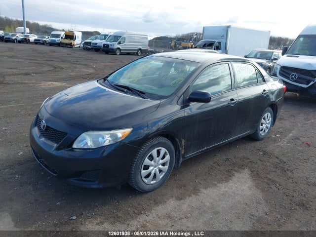 Продаж на аукціоні авто 2009 Toyota Corolla, vin: 2T1BU40E39C011738, номер лоту: 12601938