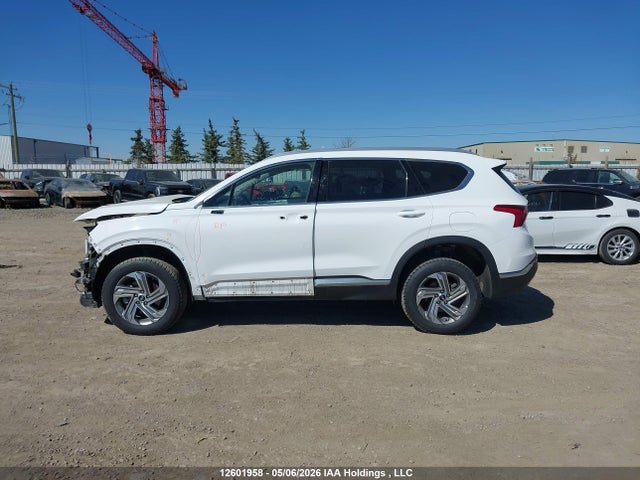 2023 Hyundai Santa Fe Preferred Awd მანქანა იყიდება აუქციონზე, vin: 5NMS3DAJXPH656425, აუქციონის ნომერი: 12601958