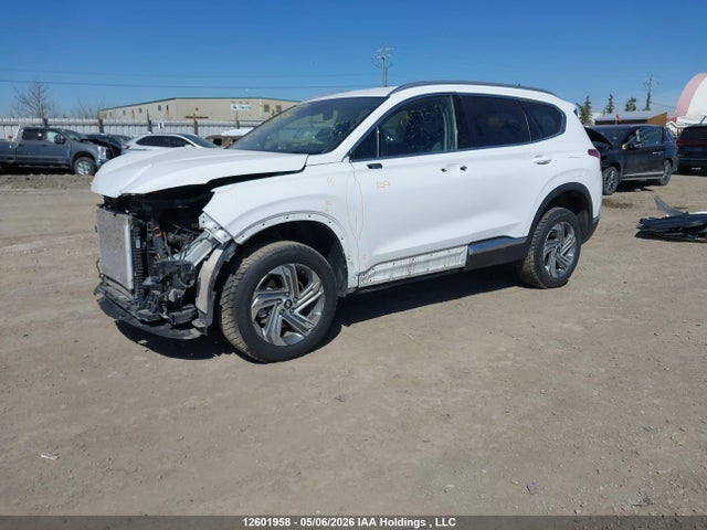 2023 Hyundai Santa Fe Preferred Awd მანქანა იყიდება აუქციონზე, vin: 5NMS3DAJXPH656425, აუქციონის ნომერი: 12601958