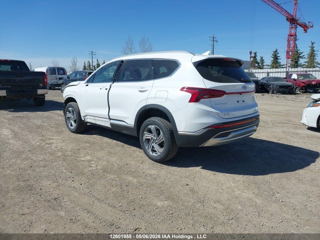 2023 Hyundai Santa Fe Preferred Awd მანქანა იყიდება აუქციონზე, vin: 5NMS3DAJXPH656425, აუქციონის ნომერი: 12601958