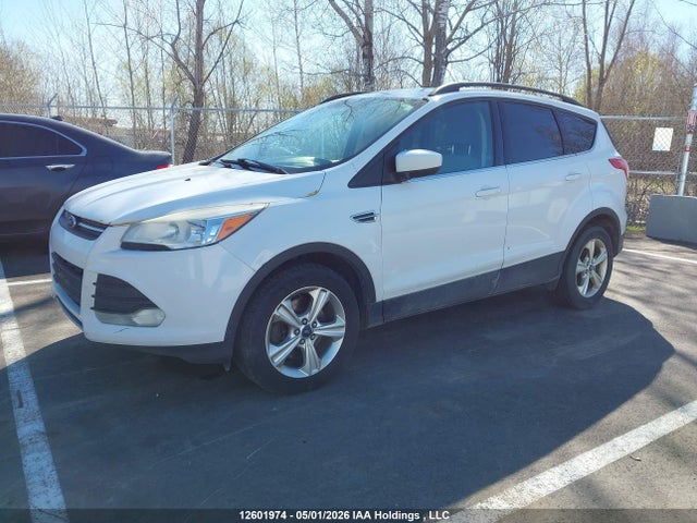 2014 Ford Escape Se მანქანა იყიდება აუქციონზე, vin: 1FMCU9G90EUE16636, აუქციონის ნომერი: 12601974