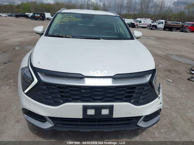 Aukcja sprzedaży 2024 Kia Sportage, vin: KNDPUCDF6R7281745, numer aukcji: 12601986