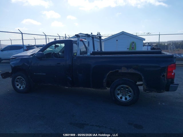 2011 Chevrolet Silverado 1500 Wt მანქანა იყიდება აუქციონზე, vin: 1GCNCREA3BZ291255, აუქციონის ნომერი: 12601989