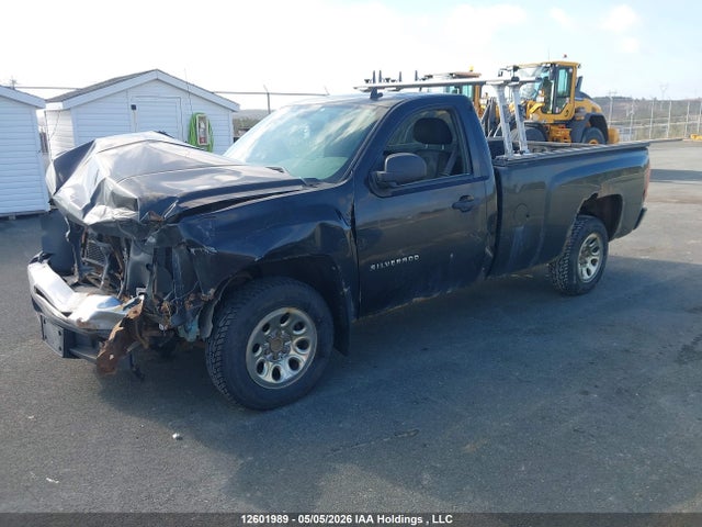 2011 Chevrolet Silverado 1500 Wt მანქანა იყიდება აუქციონზე, vin: 1GCNCREA3BZ291255, აუქციონის ნომერი: 12601989