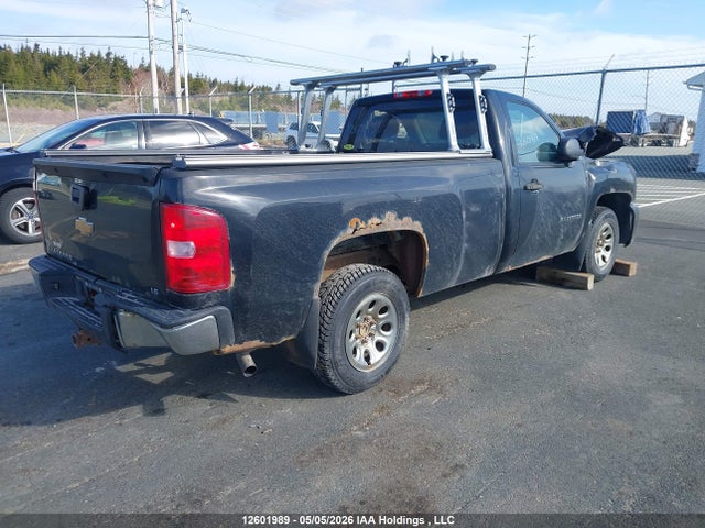 2011 Chevrolet Silverado 1500 Wt მანქანა იყიდება აუქციონზე, vin: 1GCNCREA3BZ291255, აუქციონის ნომერი: 12601989