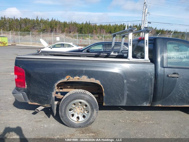 2011 Chevrolet Silverado 1500 Wt მანქანა იყიდება აუქციონზე, vin: 1GCNCREA3BZ291255, აუქციონის ნომერი: 12601989