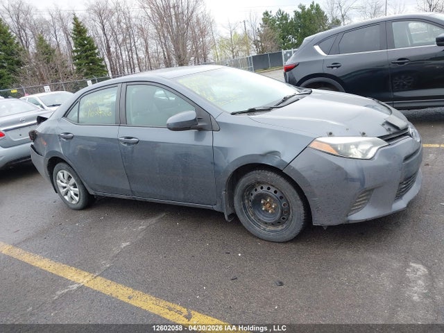2T1BURHEXEC162426 Toyota Corolla