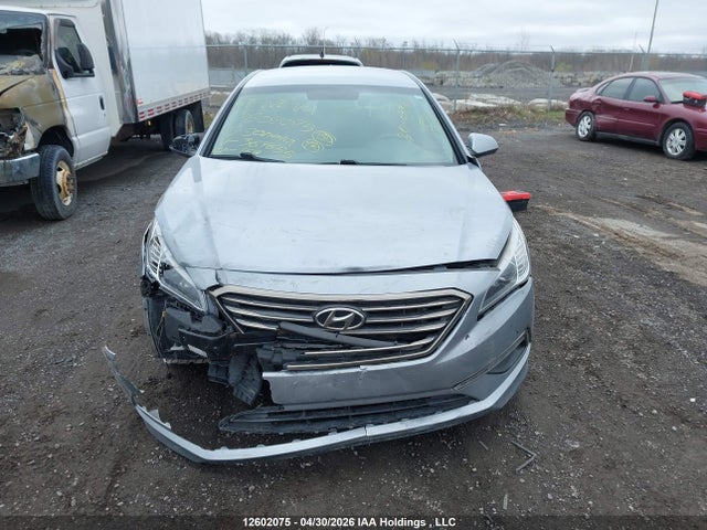 5NPE24AF4GH364655 Hyundai SONATA GL