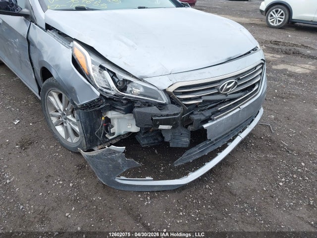 5NPE24AF4GH364655 Hyundai SONATA GL