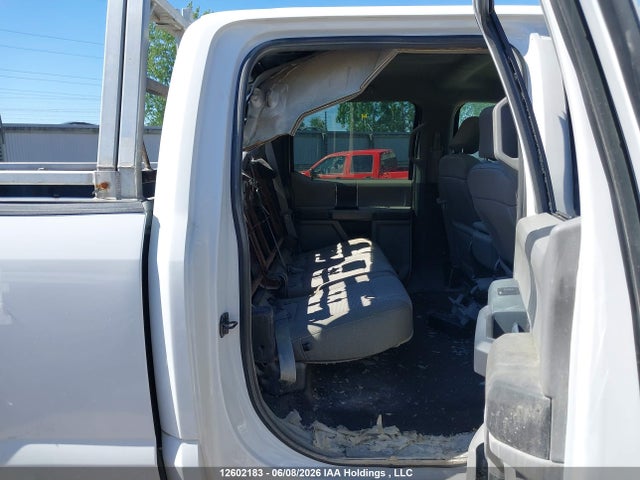 1FTFW1E58LFB22867 Ford F-150 Xlt