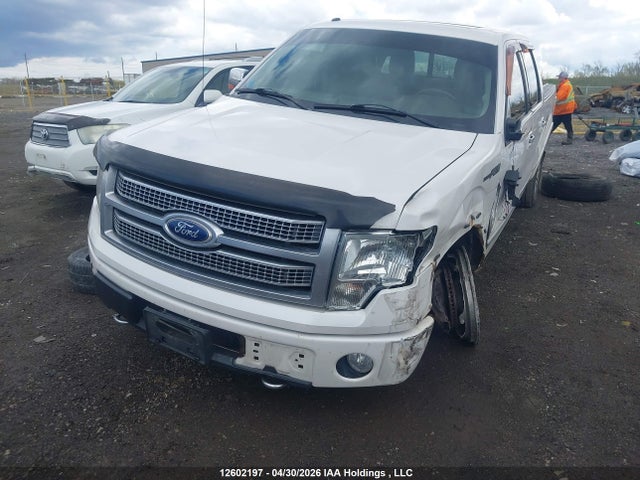 Продажа на аукционе авто 2010 Ford F-150 Fx4, vin: 1FTFW1EV0AFC86224, номер лота: 12602197