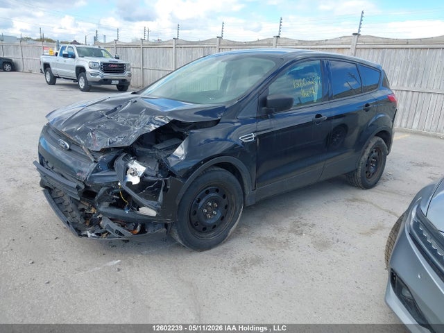 2013 Ford Escape მანქანა იყიდება აუქციონზე, vin: 1FMCU0F78DUA32002, აუქციონის ნომერი: 12602239