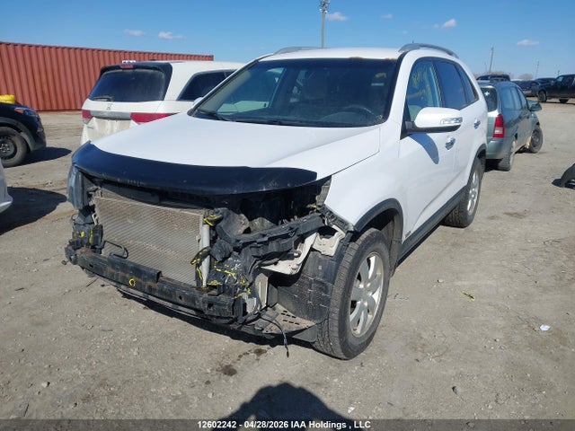 2011 Kia Sorento Lx მანქანა იყიდება აუქციონზე, vin: 5XYKTCA16BG117104, აუქციონის ნომერი: 12602242