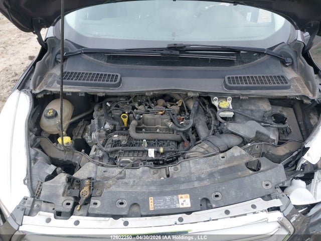 1FMCU0GD9KUB36273 Ford ESCAPE SE