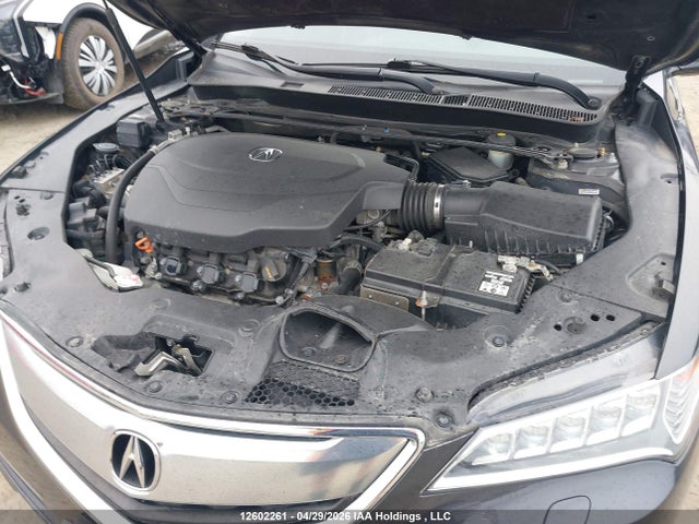 2015 Acura Tlx მანქანა იყიდება აუქციონზე, vin: 19UUB2F76FA800446, აუქციონის ნომერი: 12602261